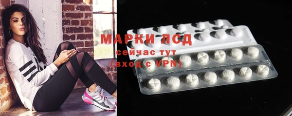 амф Аркадак