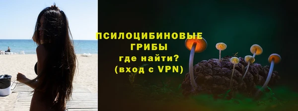 трава Арсеньев