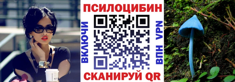 kraken ССЫЛКА  Нарткала  Псилоцибиновые грибы Cubensis 